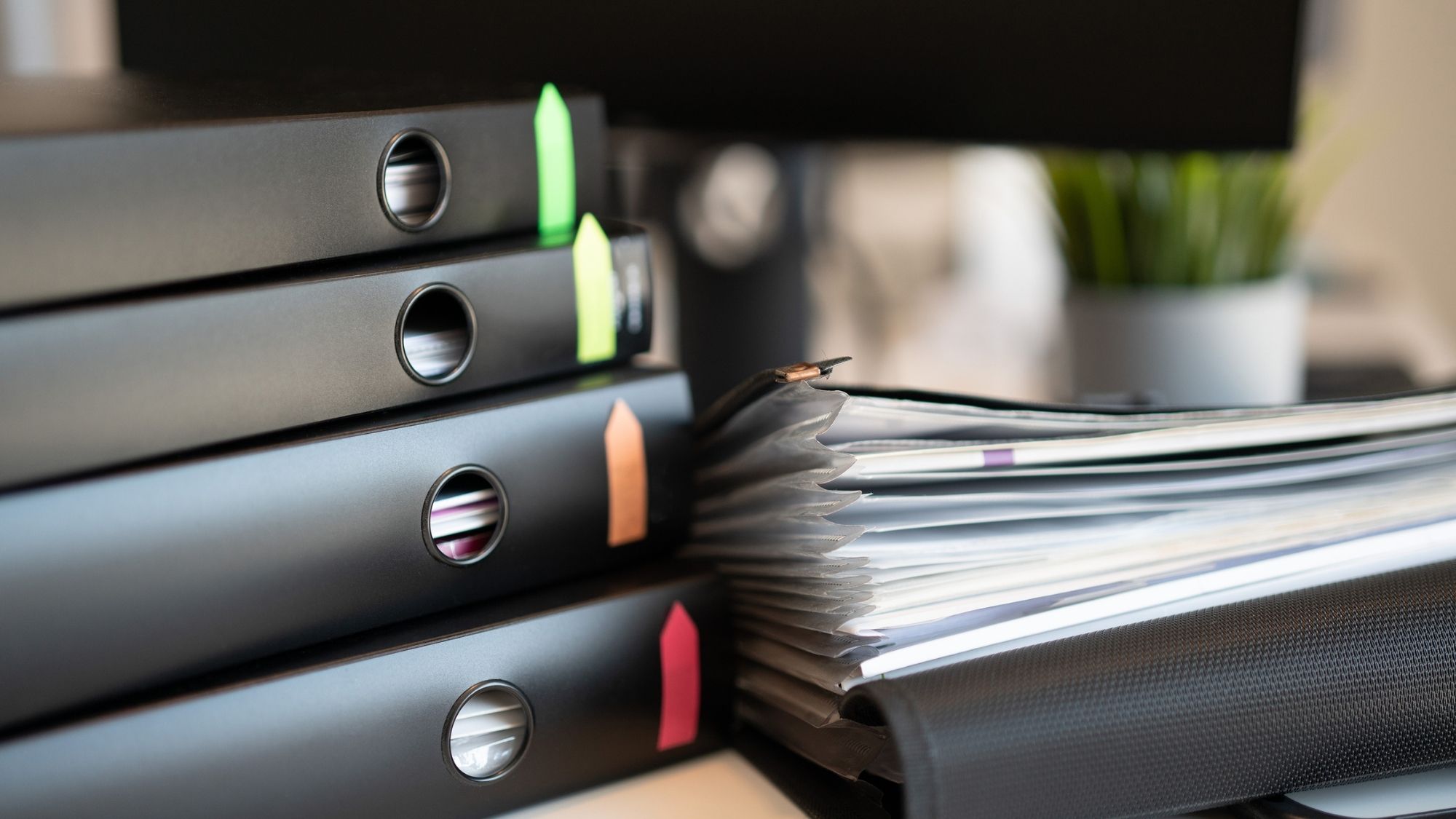 golden visa por step 2