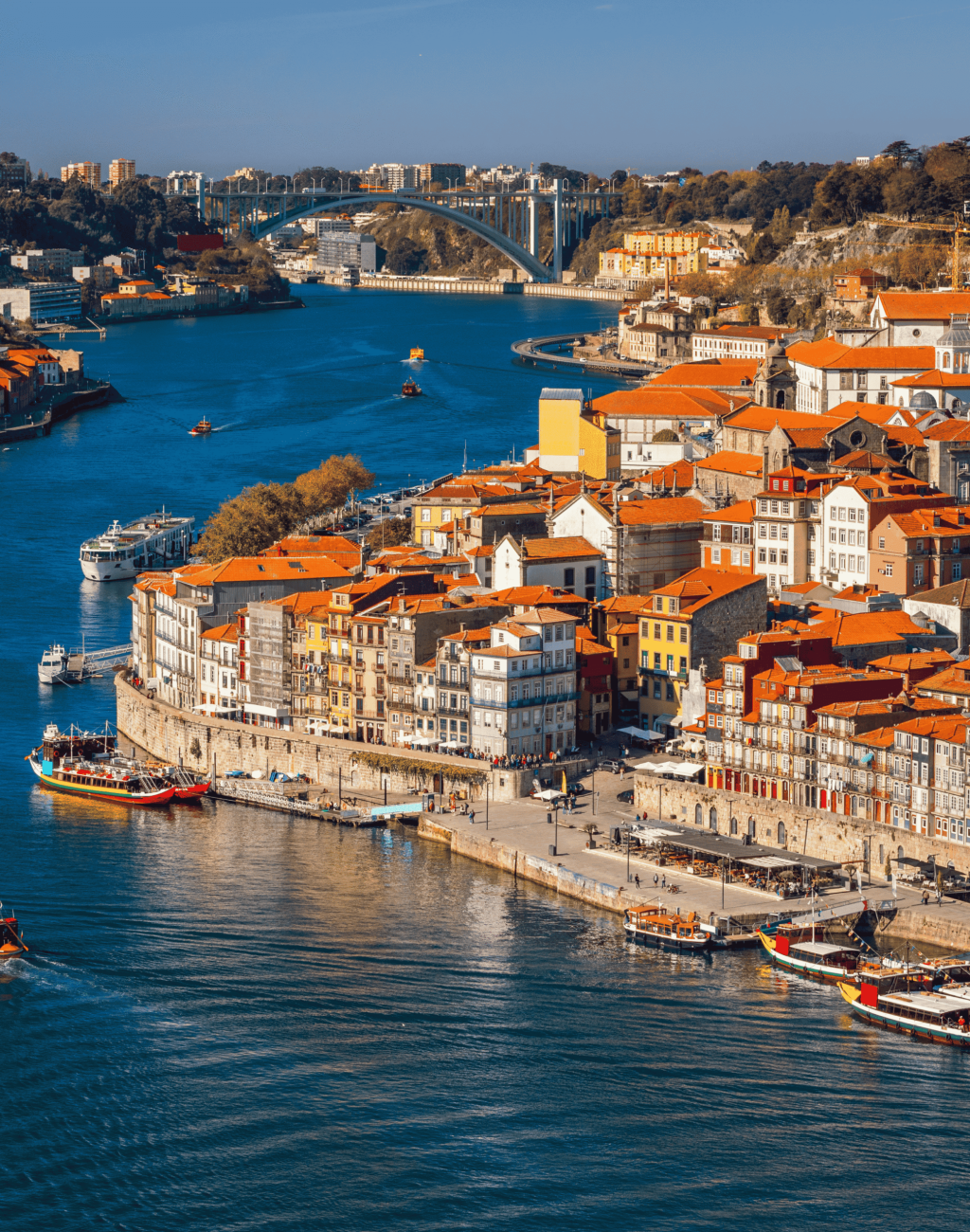 website banner GV Por 1